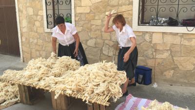 Fiesta del Mundo Rural